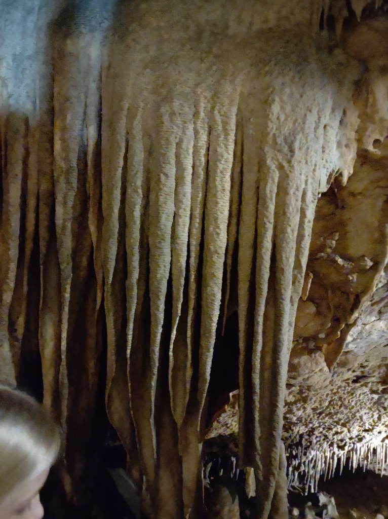 Marianna Fl
Florida State Parks
Florida Caverns State Park
Traveling with the Trapps
