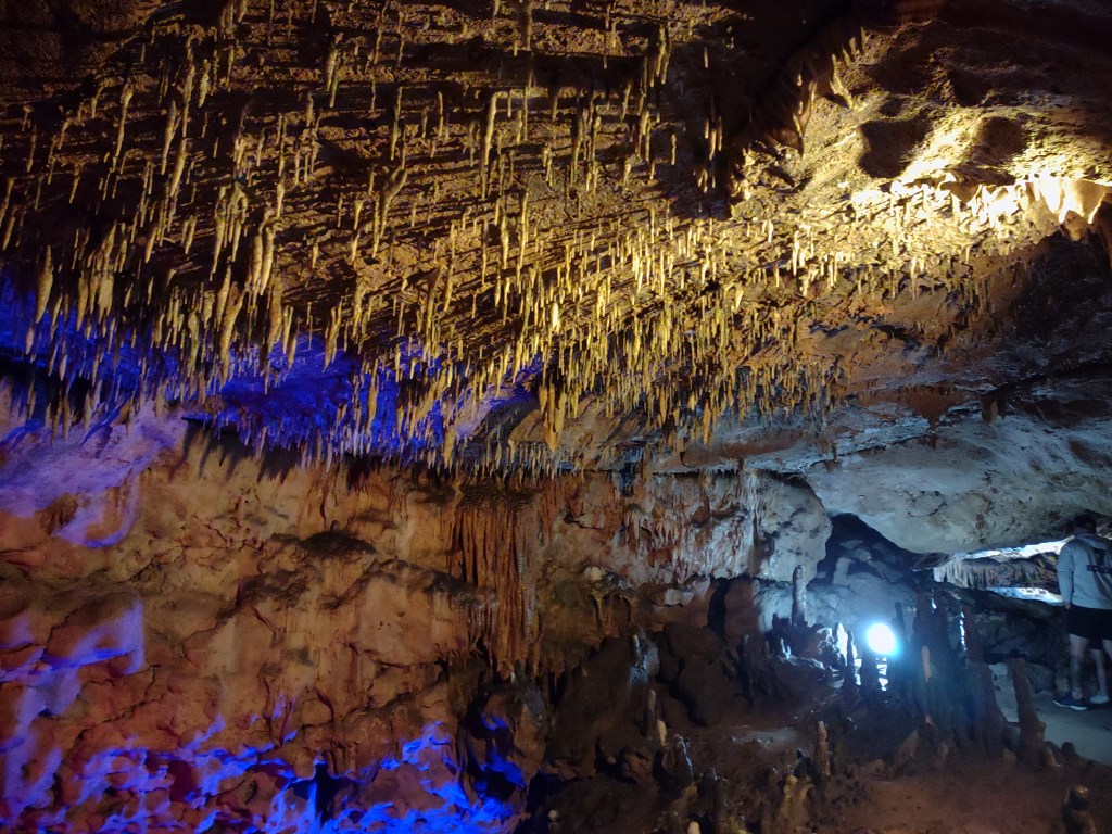 Marianna Fl
Florida State Parks
Florida Caverns State Park
Traveling with the Trapps
