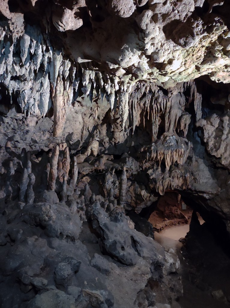 Marianna Fl
Florida State Parks
Florida Caverns State Park
Traveling with the Trapps
