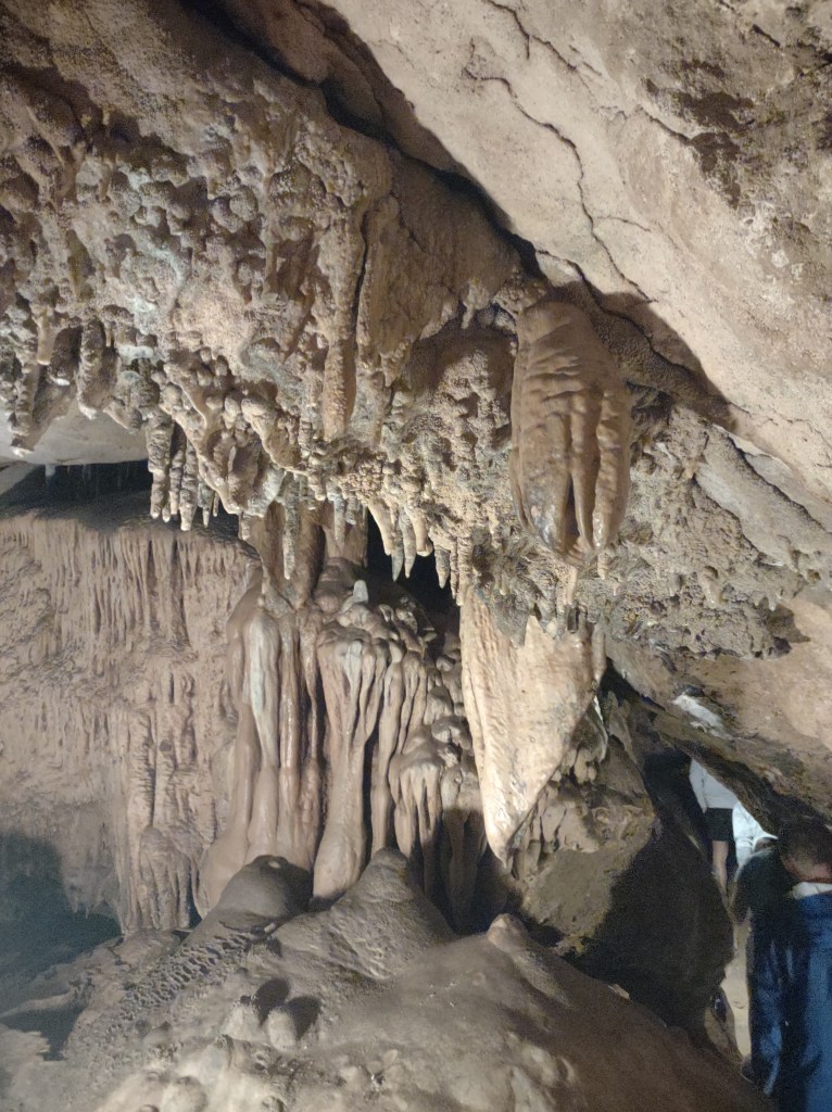 Marianna Fl
Florida State Parks
Florida Caverns State Park
Traveling with the Trapps
