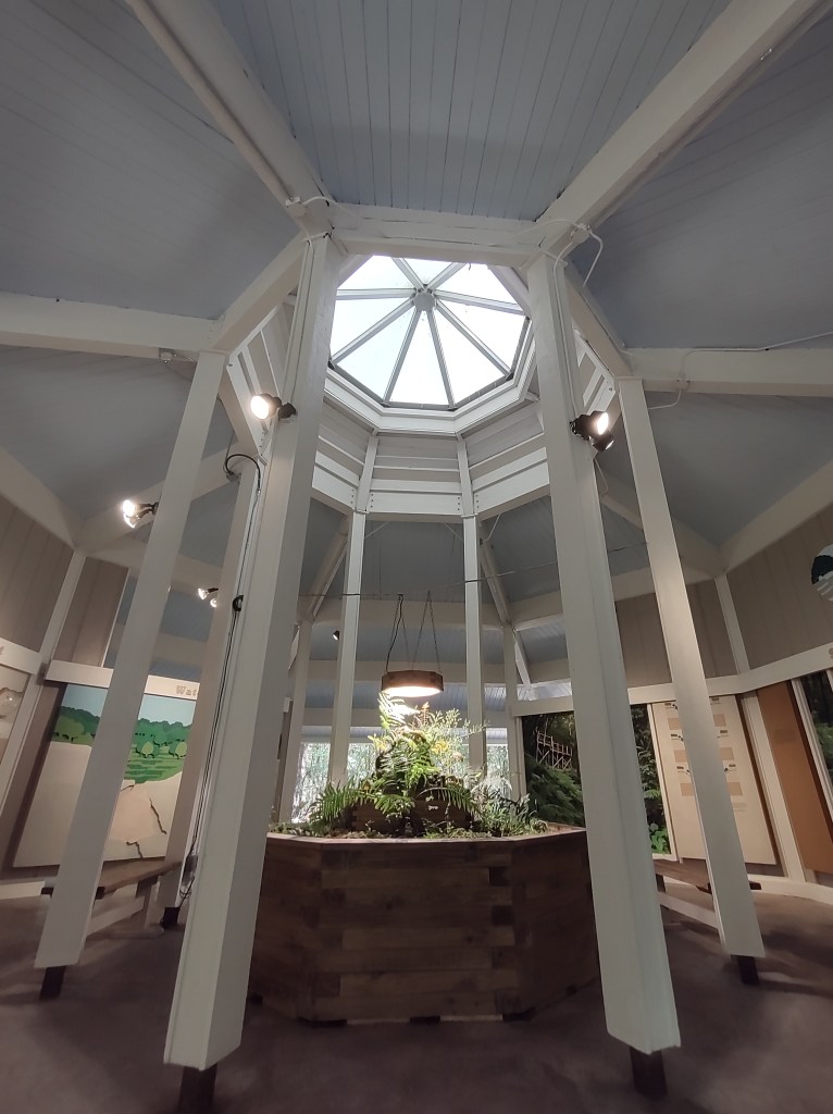 Devil's Millhopper Geological State Park
Gainesville, FL
Traveling with the Trapps
Florida State Parks
Florida Parks
Sinkhole
Gainesville
Florida
Geology