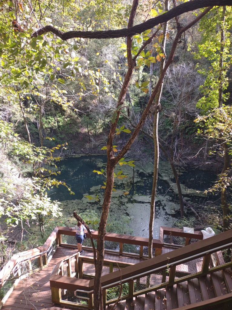Devil's Millhopper Geological State Park
Gainesville, FL
Traveling with the Trapps
Florida State Parks
Florida Parks
Sinkhole
Gainesville
Florida
Geology
