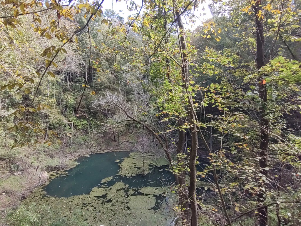 Devil's Millhopper Geological State Park
Gainesville, FL
Traveling with the Trapps
Florida State Parks
Florida Parks
Sinkhole
Gainesville
Florida
Geology