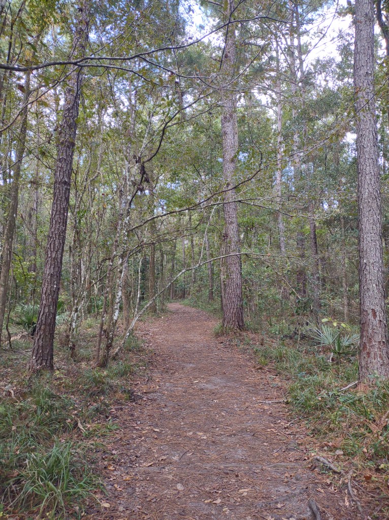 Morningside Nature Center
Gainesville, FL
Florida Parks
Traveling with the Trapps
Gainesville
Florida
History
Re-enactment
Nature
Sugar cane
Cane syrup