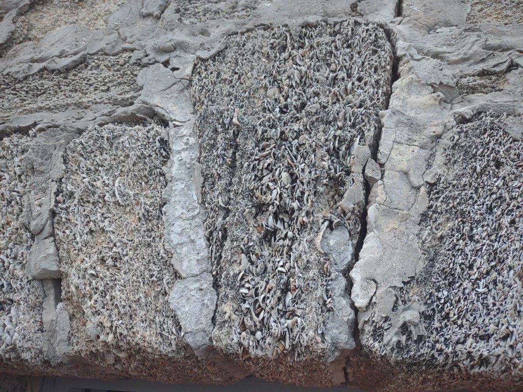 Fort Matanzas
Fort Matanzas National Monument
Florida
Florida History
Traveling with the Trapps
St. Augustine FL
Rattlesnake Island FL
