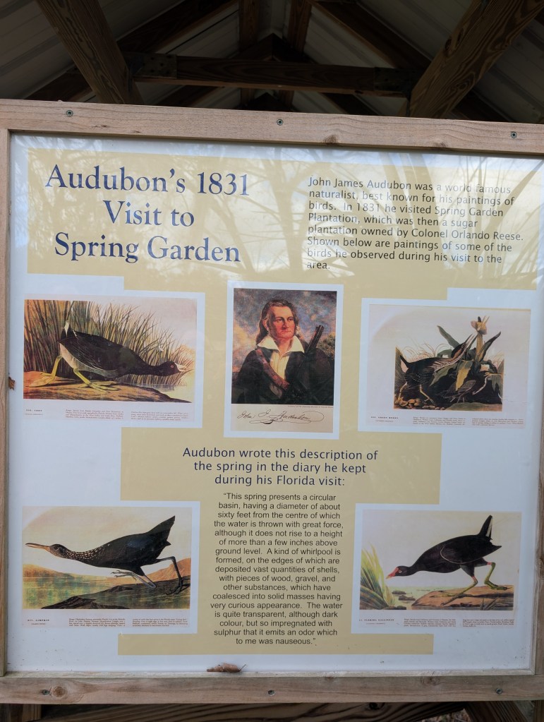 DeLeon Springs State Park
Fountain of Youth
Nature
Florida
Ponce DeLeon Springs
Sugar Mill
Florida State Park
Travel
Traveling with the Trapps