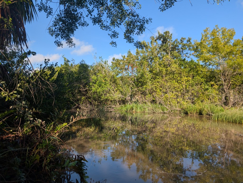 Everglades
Florida
Florida Nature
Birds
Anhinga
Alligators
Everglades Alligator Farm
Traveling with the Trapps