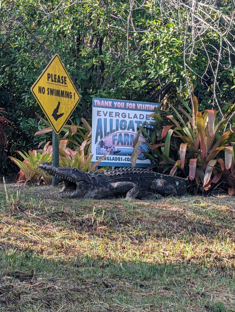 Everglades
Florida
Florida Nature
Birds
Anhinga
Alligators
Everglades Alligator Farm
Traveling with the Trapps