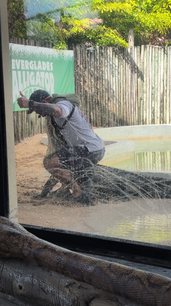 Everglades
Florida
Florida Nature
Birds
Anhinga
Alligators
Everglades Alligator Farm
Traveling with the Trapps