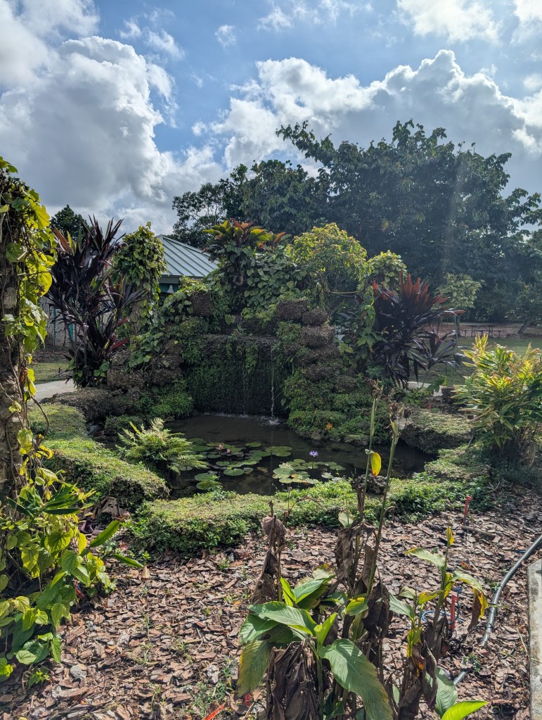 Fruit & Spice Park
Homestead, FL
Nature
Traveling with the Trapps
Florida
Parks