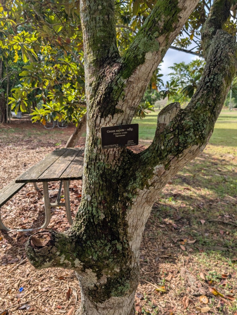 Fruit & Spice Park
Homestead, FL
Nature
Traveling with the Trapps
Florida
Parks