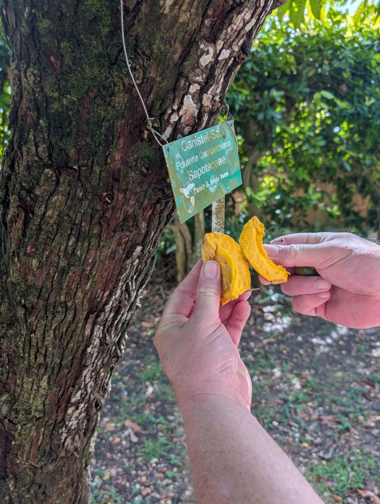 Fruit & Spice Park
Homestead, FL
Nature
Traveling with the Trapps
Florida
Parks