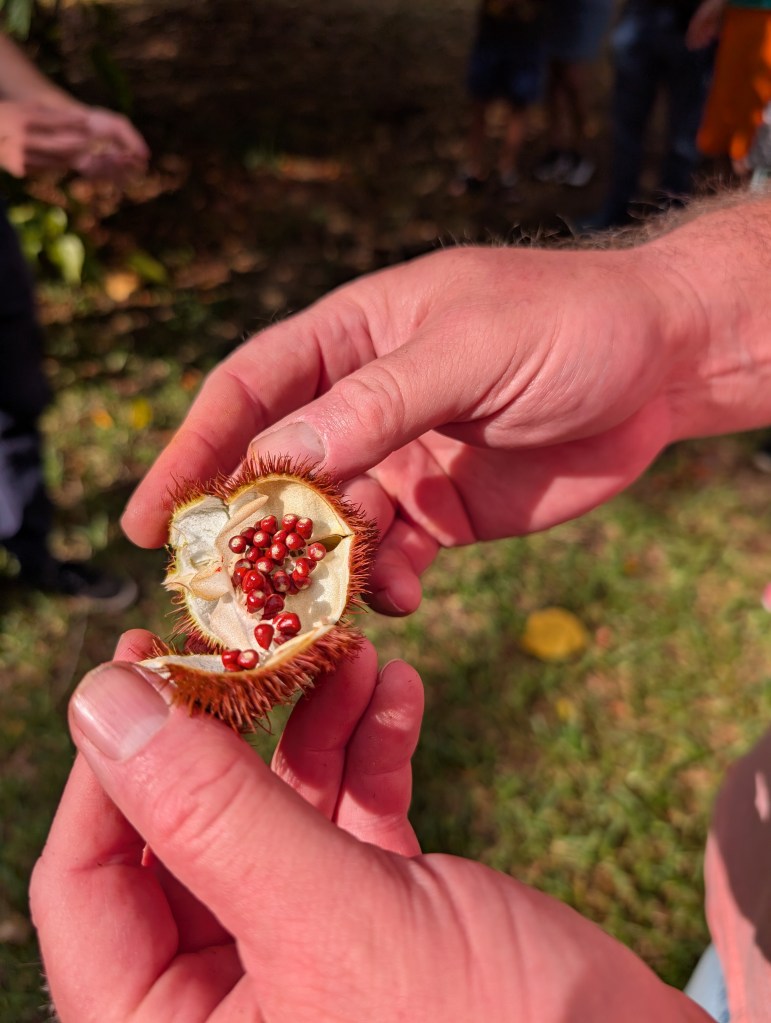 Fruit & Spice Park
Homestead, FL
Nature
Traveling with the Trapps
Florida
Parks