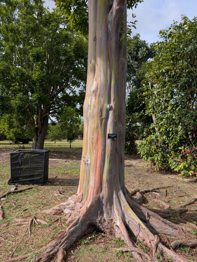 Fruit & Spice Park
Homestead, FL
Nature
Traveling with the Trapps
Florida
Parks