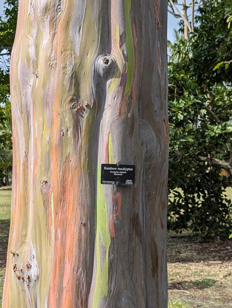 Fruit & Spice Park
Homestead, FL
Nature
Traveling with the Trapps
Florida
Parks