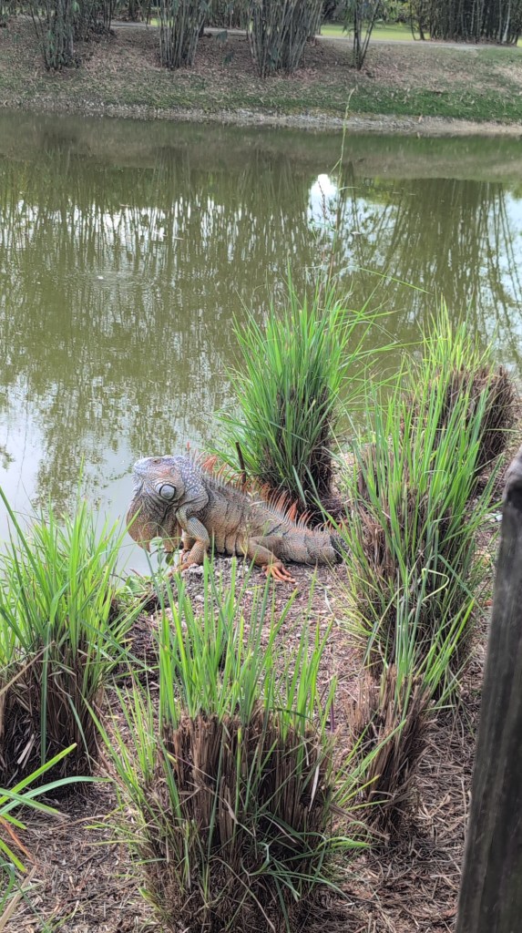 Fruit & Spice Park
Homestead, FL
Nature
Traveling with the Trapps
Florida
Parks