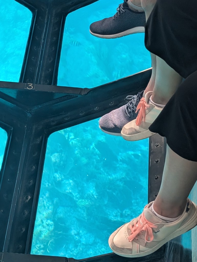 Key Largo
Florida
Florida Keys
John Pennekamp Coral Reef State Park
Florida State Parks
Pennekamp
Traveling with the Trapps