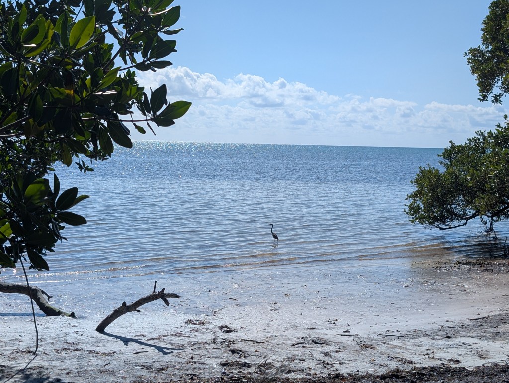 Long Key State Park, Long Key, Florida
